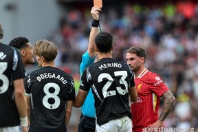 包含风云突变！阿森纳集结日完成体检，NBA总决赛版图或变，信心回归，团队化学反应显著的词条九游体育